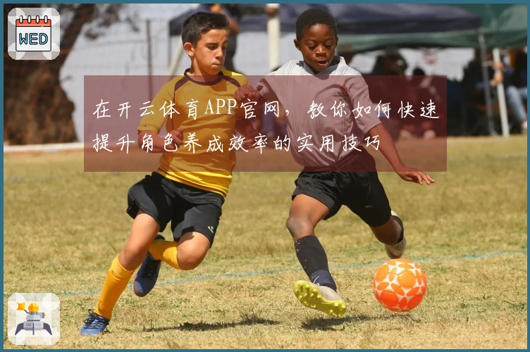 在开云体育APP官网，教你如何快速提升角色养成效率的实用技巧