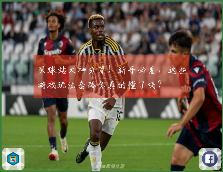 买球站大神分享！新手必看，这些游戏玩法套路你真的懂了吗？