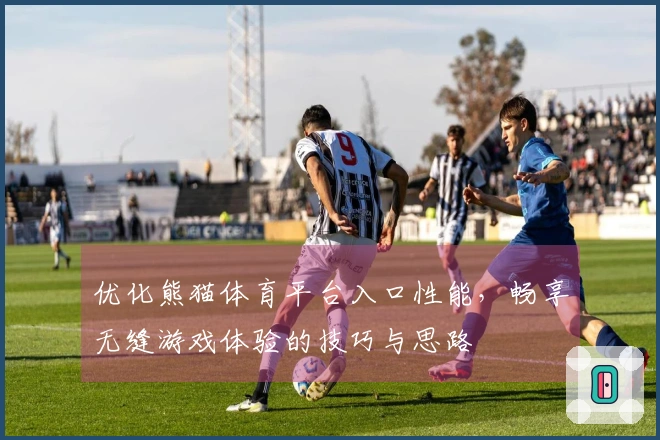 优化熊猫体育平台入口性能，畅享无缝游戏体验的技巧与思路