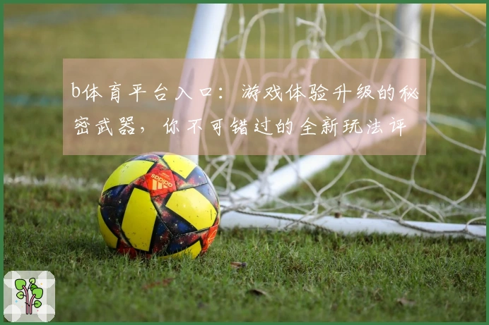 b体育平台入口：游戏体验升级的秘密武器，你不可错过的全新玩法评测