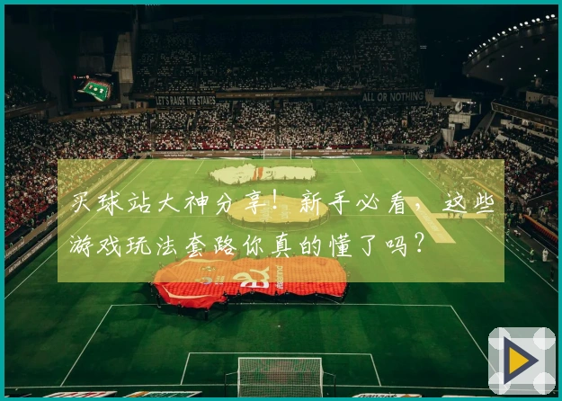 买球站大神分享！新手必看，这些游戏玩法套路你真的懂了吗？