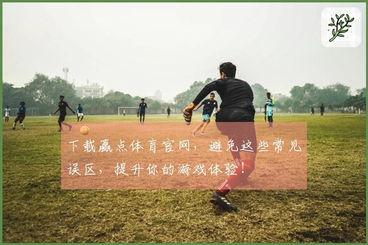下载赢点体育官网，避免这些常见误区，提升你的游戏体验！